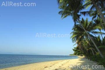Coconut Tropicana 25